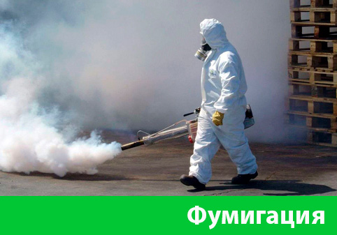 Фумигация в городе Тобольск