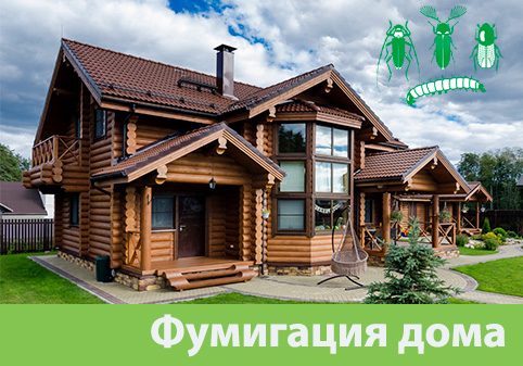 Преимущества обработки газом в городе Тобольск