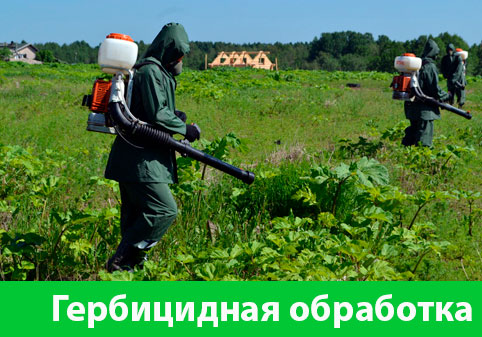 Гербицидная обработка в городе Тобольск