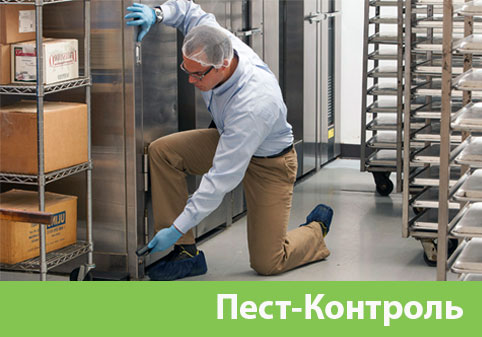 Пэст-Контроль в городе Тобольск