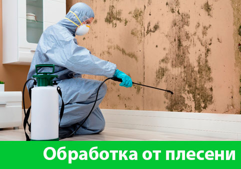 Обработка от плесени в городе Тобольск