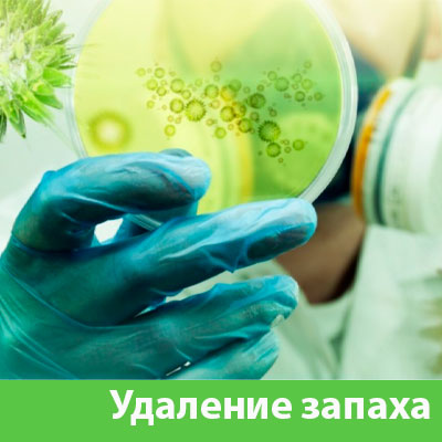 Удаление запахов в Тобольске