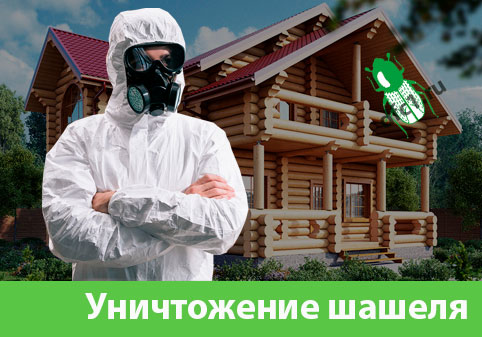 Уничтожение шашеля и личинок в Тобольске