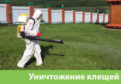 Уничтожение клещей в городе Тобольск