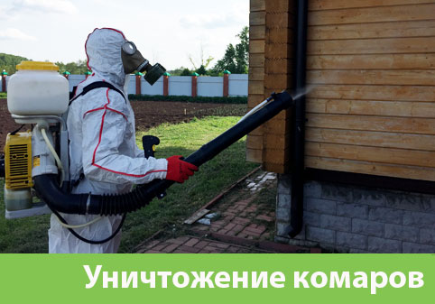 Уничтожение комаров в городе Тобольск